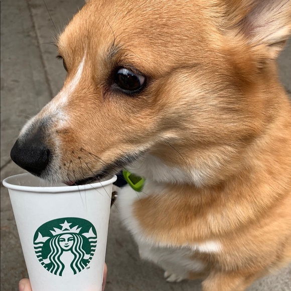 Meet your Posher, Sarah - Picture 6 of 6